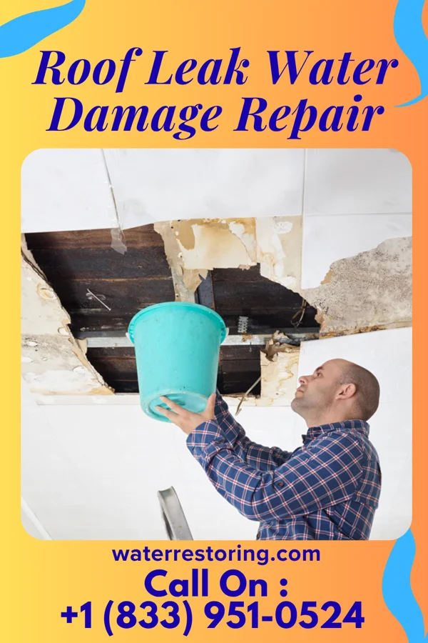 Roof Leak Water Damage Repair in Java, SD